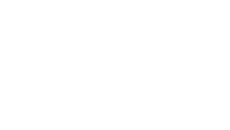 QUALIA