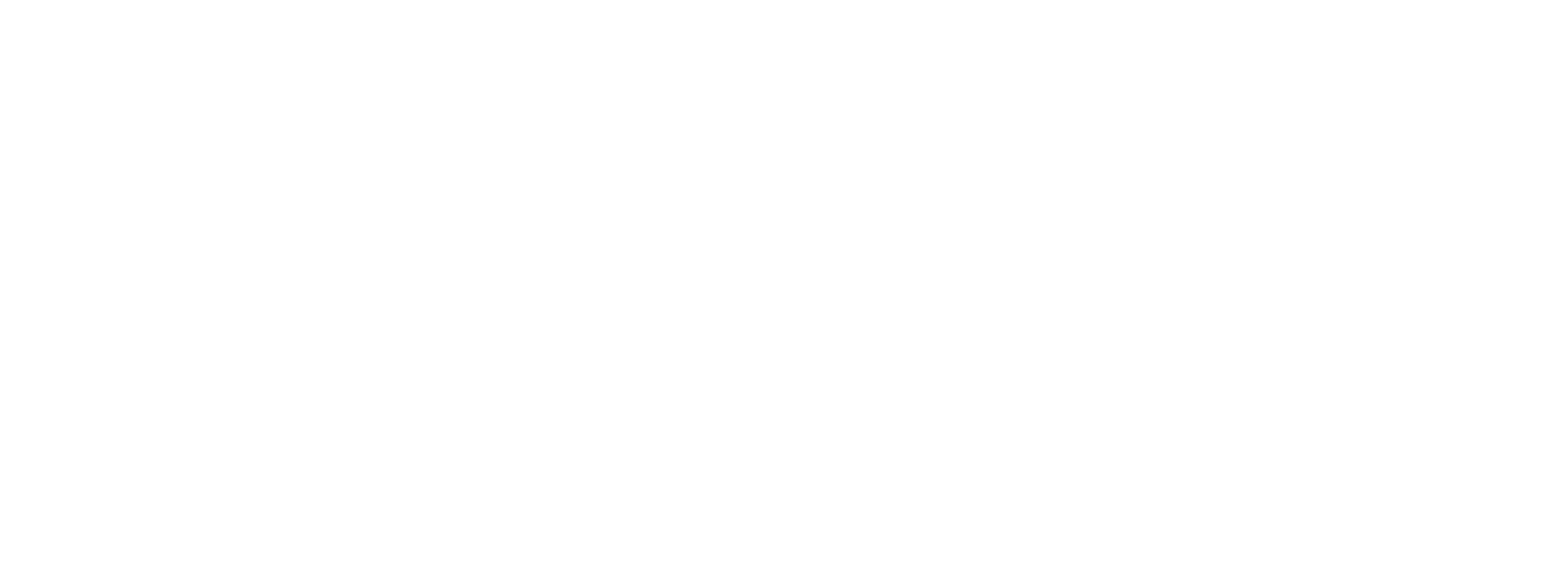 Florent Venture Partners