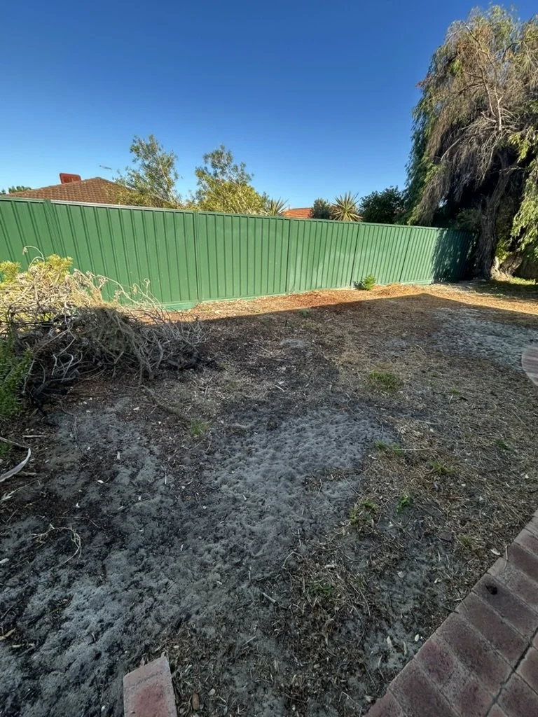 Before — Travis, Ocean Reef