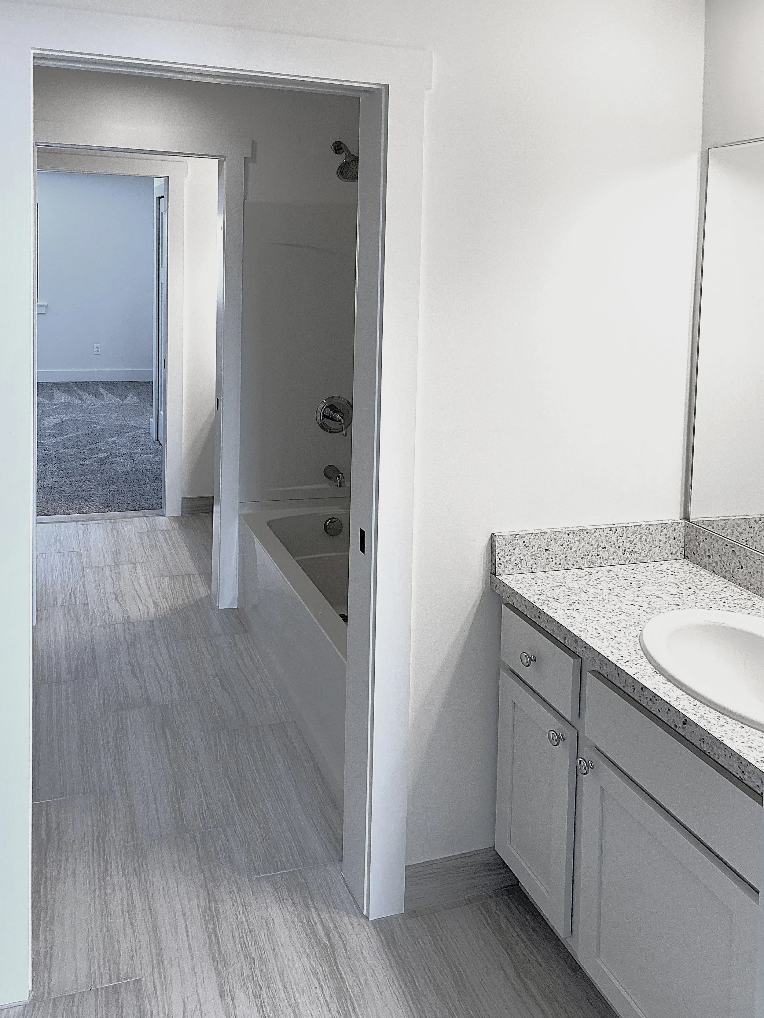 Modern Jack and Jill bathroom in new custom home build near South Lyon, Michigan