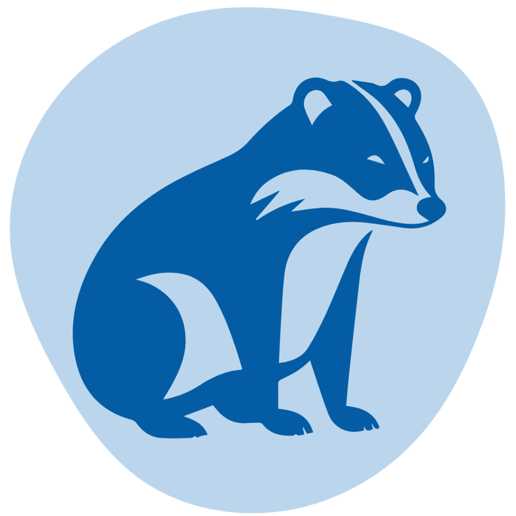 Badgers Image