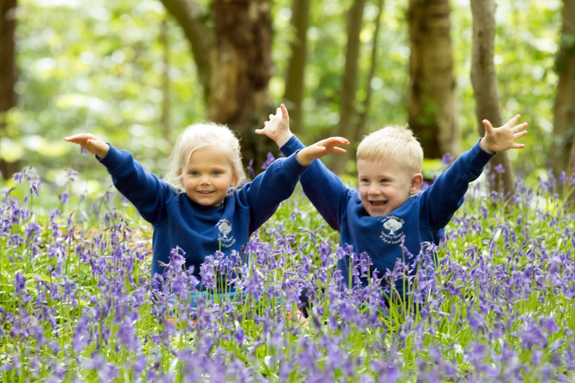 hiding in the bluebells norsey woods