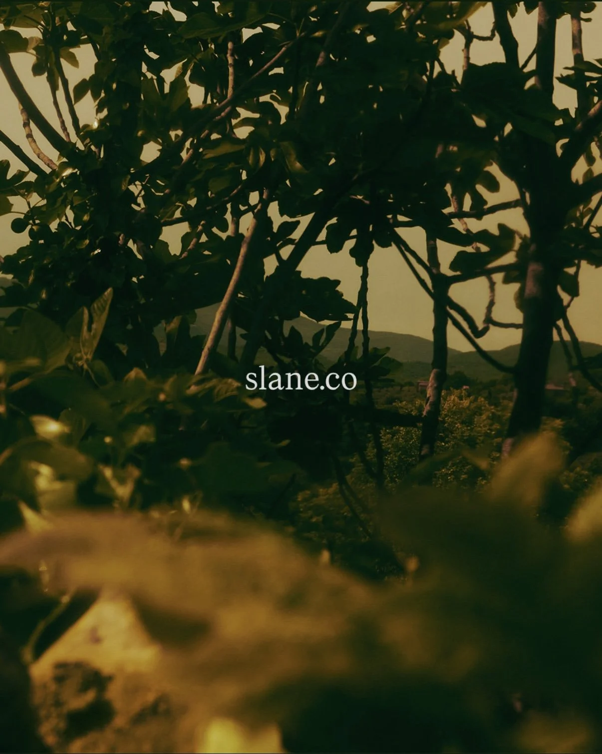 Slane — Summer 2026 edition still life
