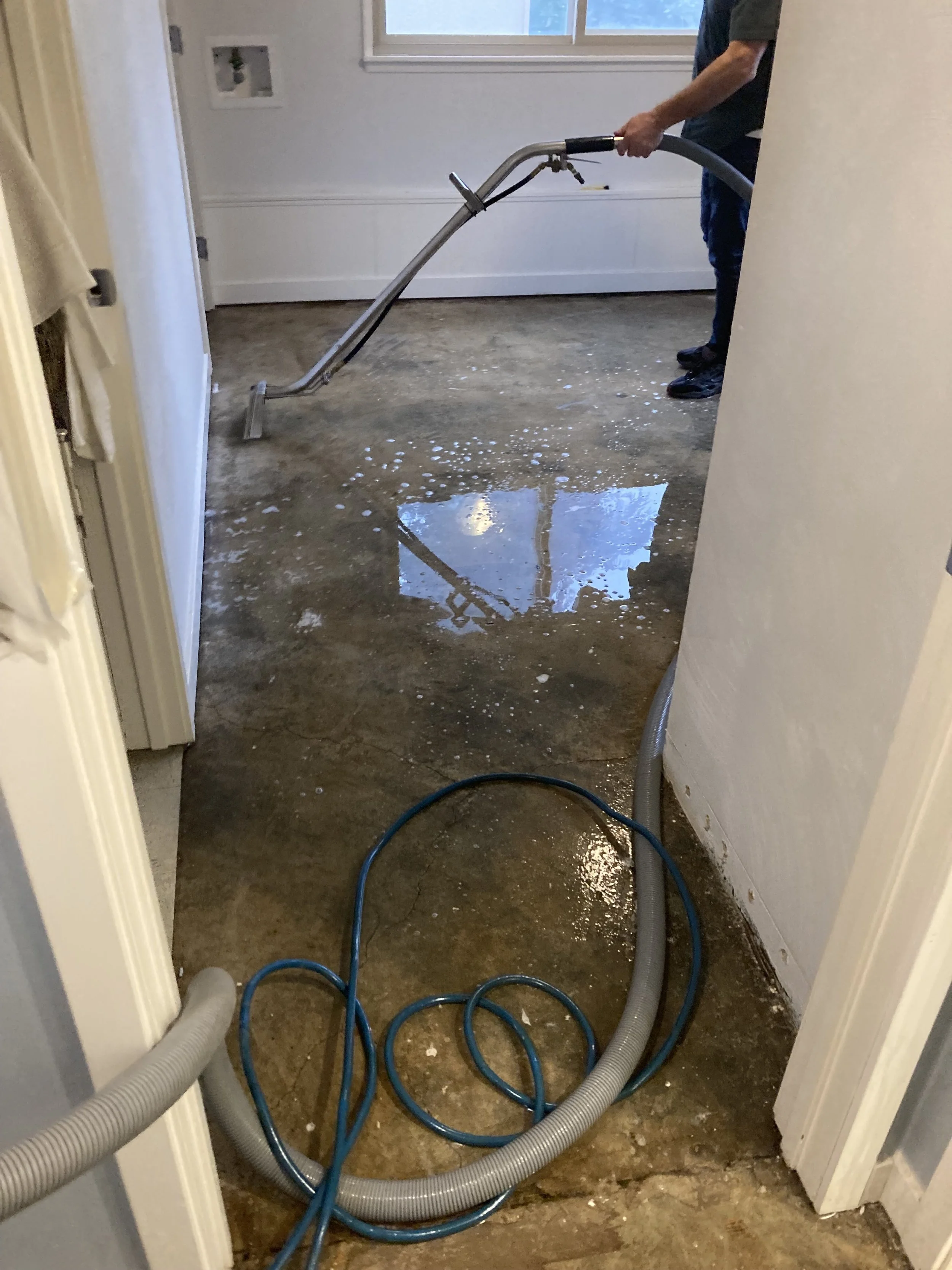 Carpet Cleaning