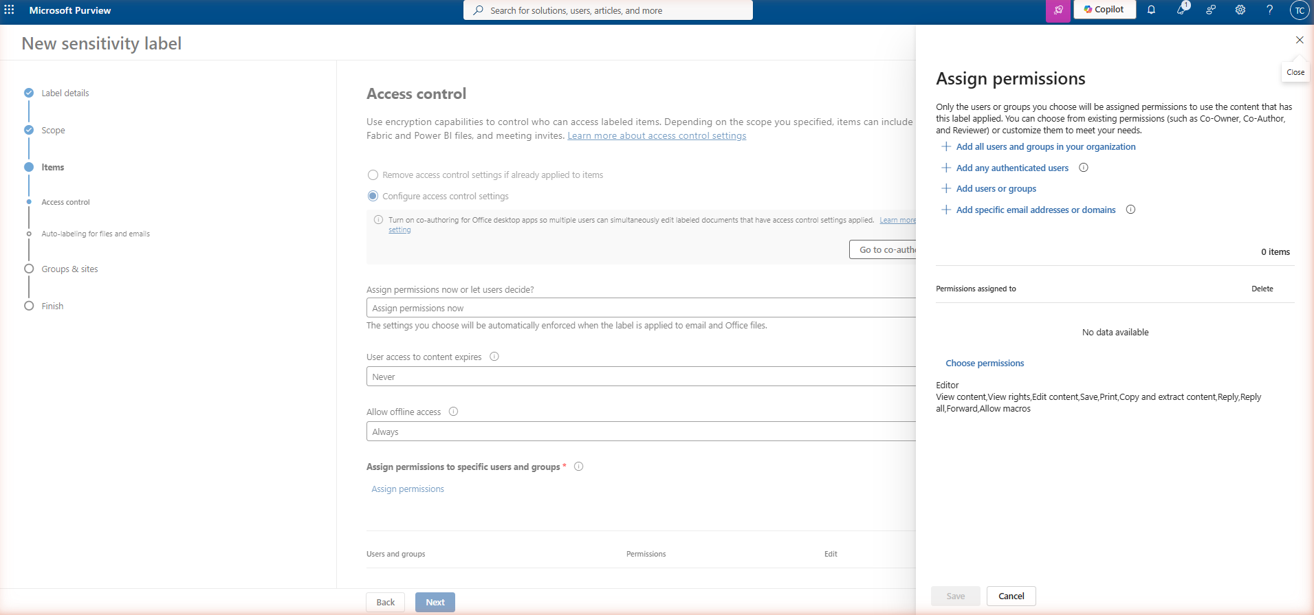 Assign permissions side panel showing four options: '+ Add all users and groups in your organization', '+ Add any authenticated users', '+ Add users or groups', '+ Add specific email addresses or domains'. The Choose permissions section shows Editor preset selected.