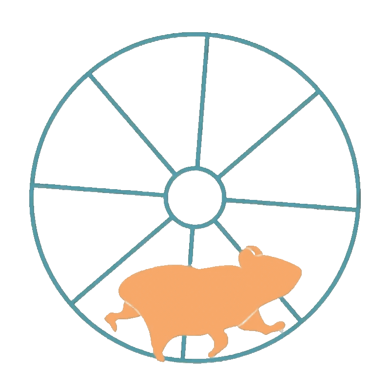 Spinning hamster