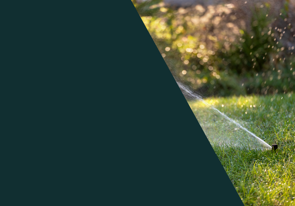 Professional irrigation systems in Seguin TX