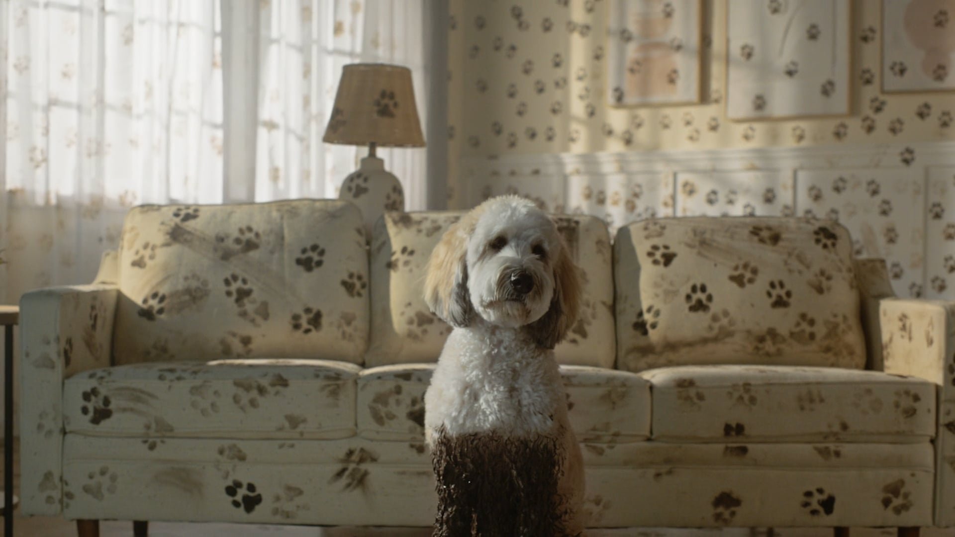 The Honest Kitchen — Muddy Boy