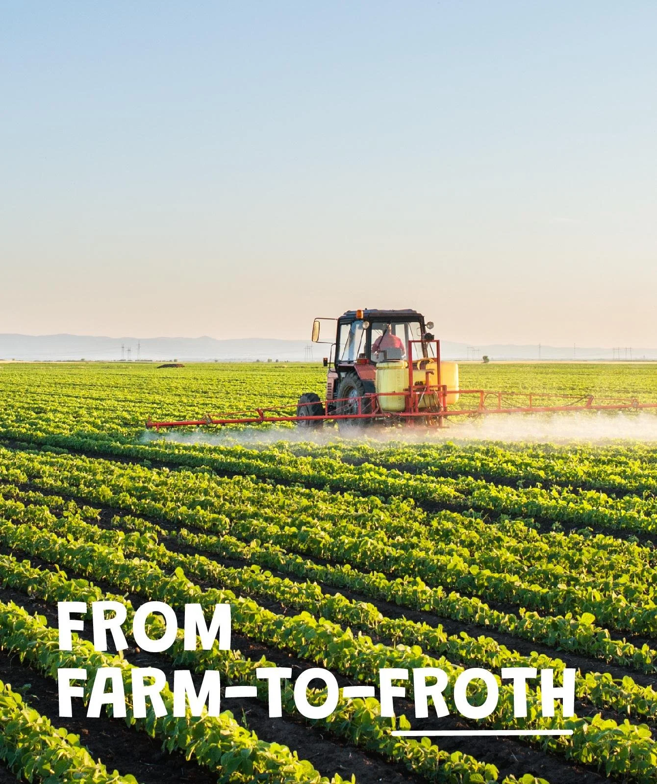 LUCO campaign creative: From farm-to-froth