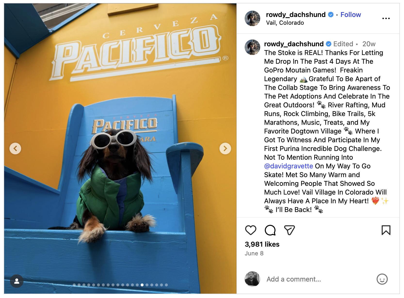 Instagram post of a dog in sunglasses at the Pacifico Dog Town build