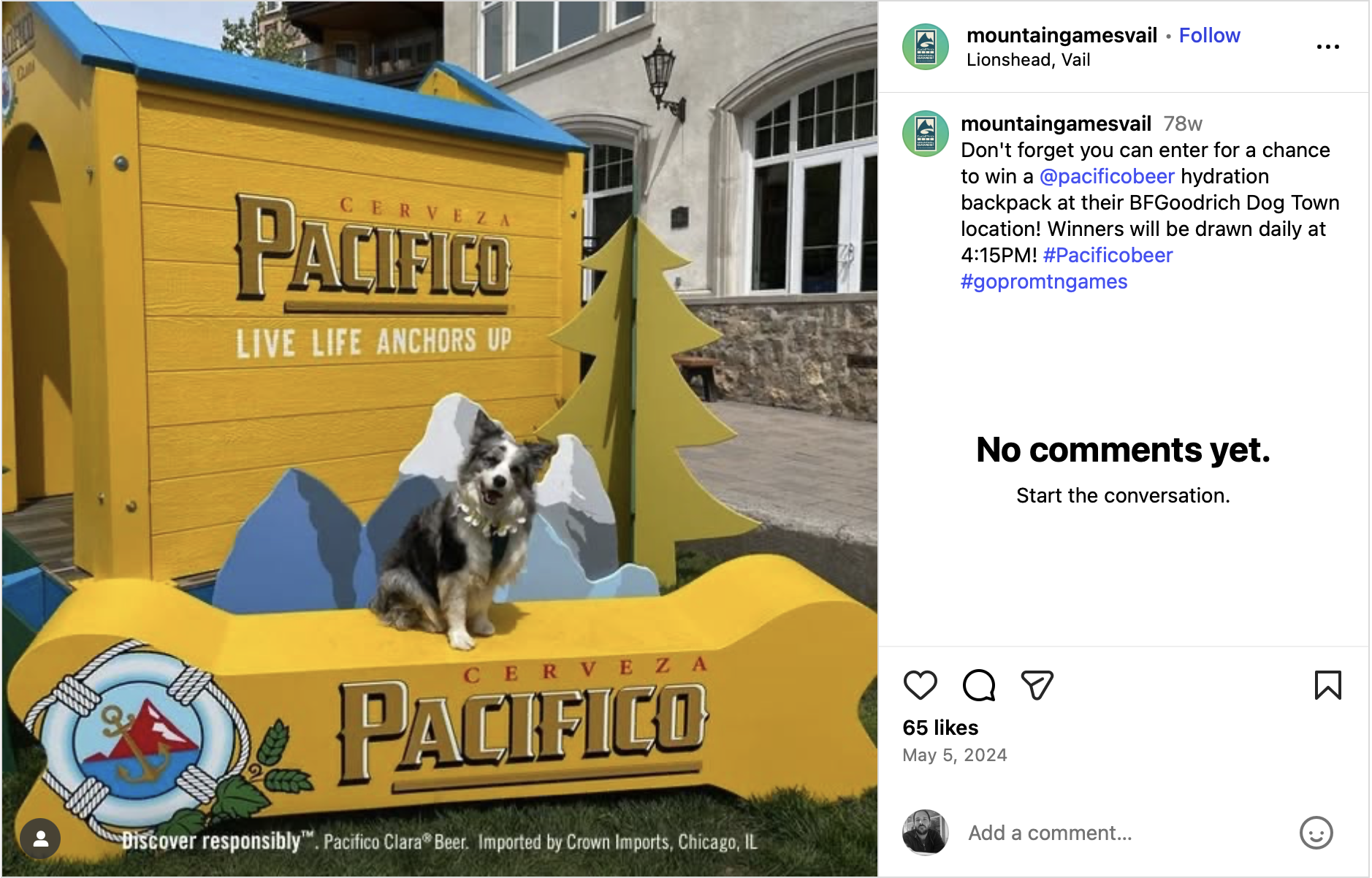 A dog on the branded Pacifico dog bone at Dog Town