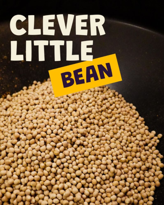 LUCO campaign creative: Clever little bean