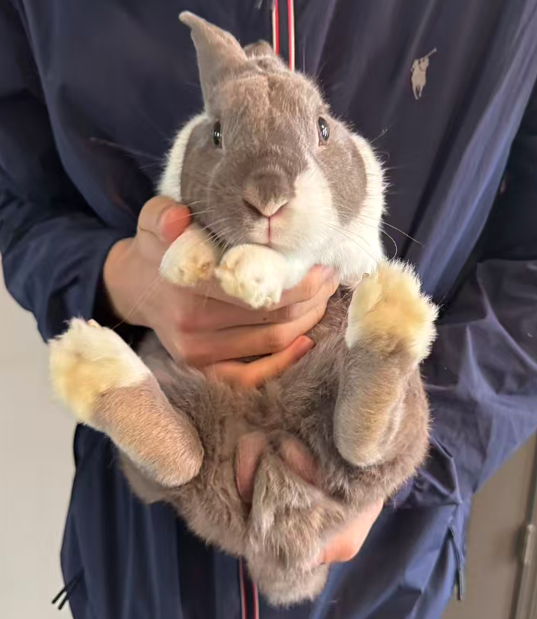 Pampam held up in two hands, feet dangling