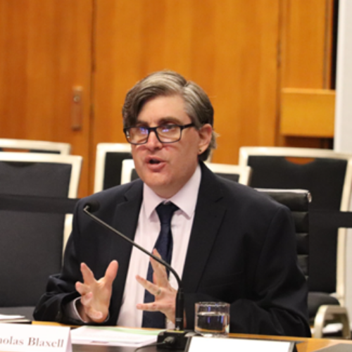 Systemic disability advocacy