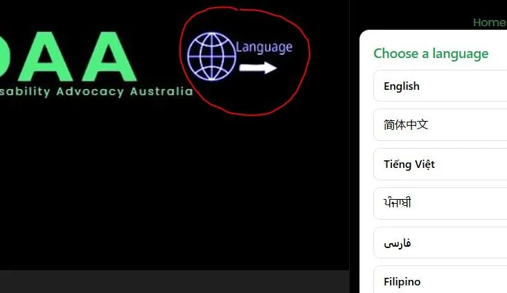 Website language translation feature