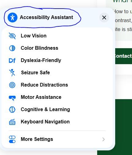 Website accessibility feature controls
