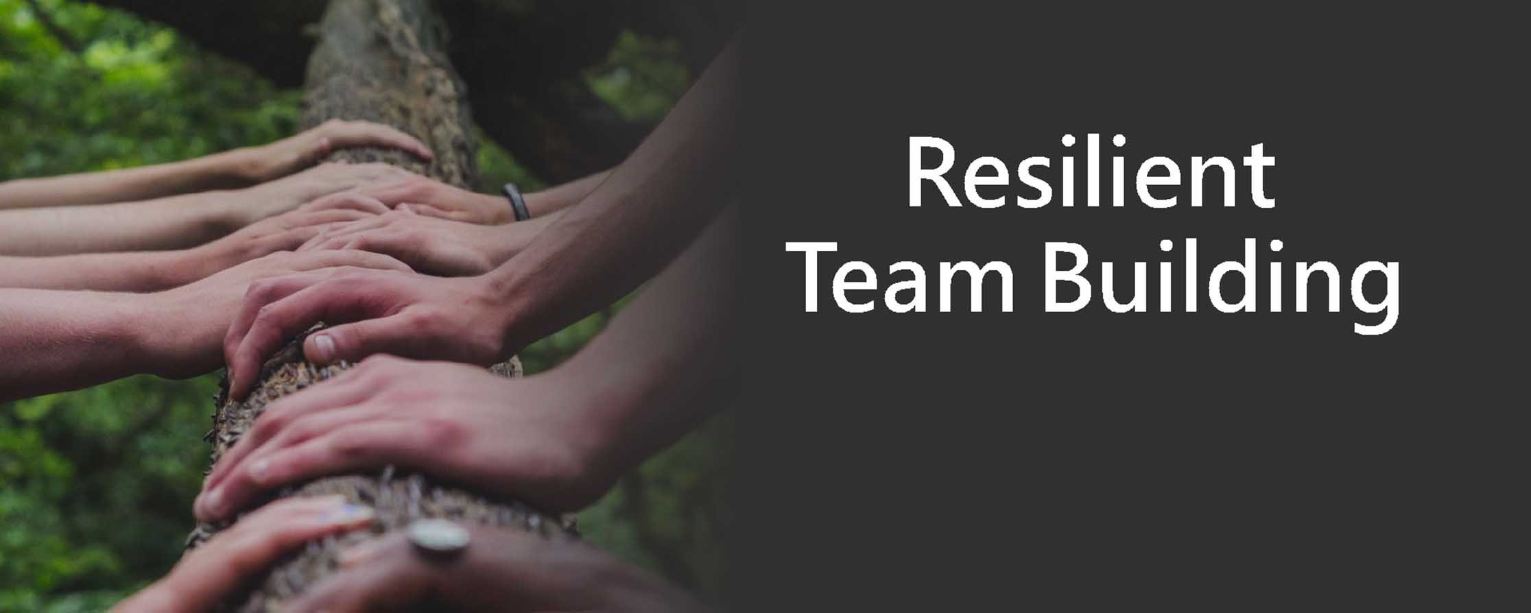 Resilient Team Building