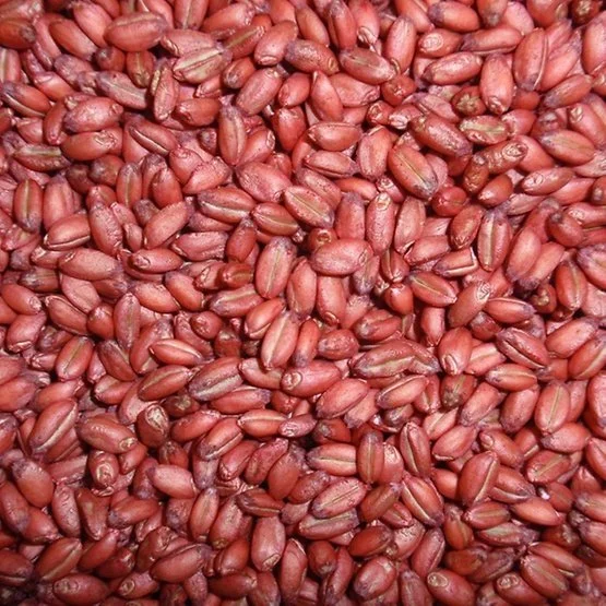 Seed Treatments