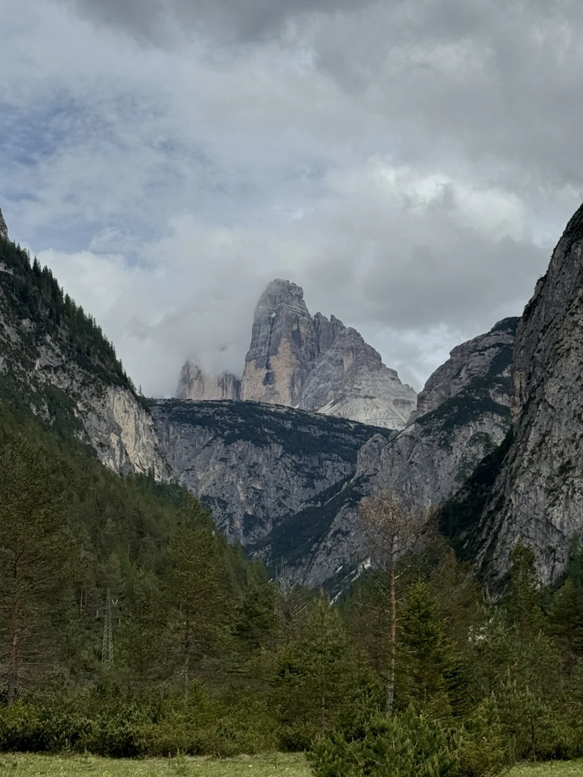 Misty Tre Cime di Lavaredo peaks framed by steep forested cliffs.