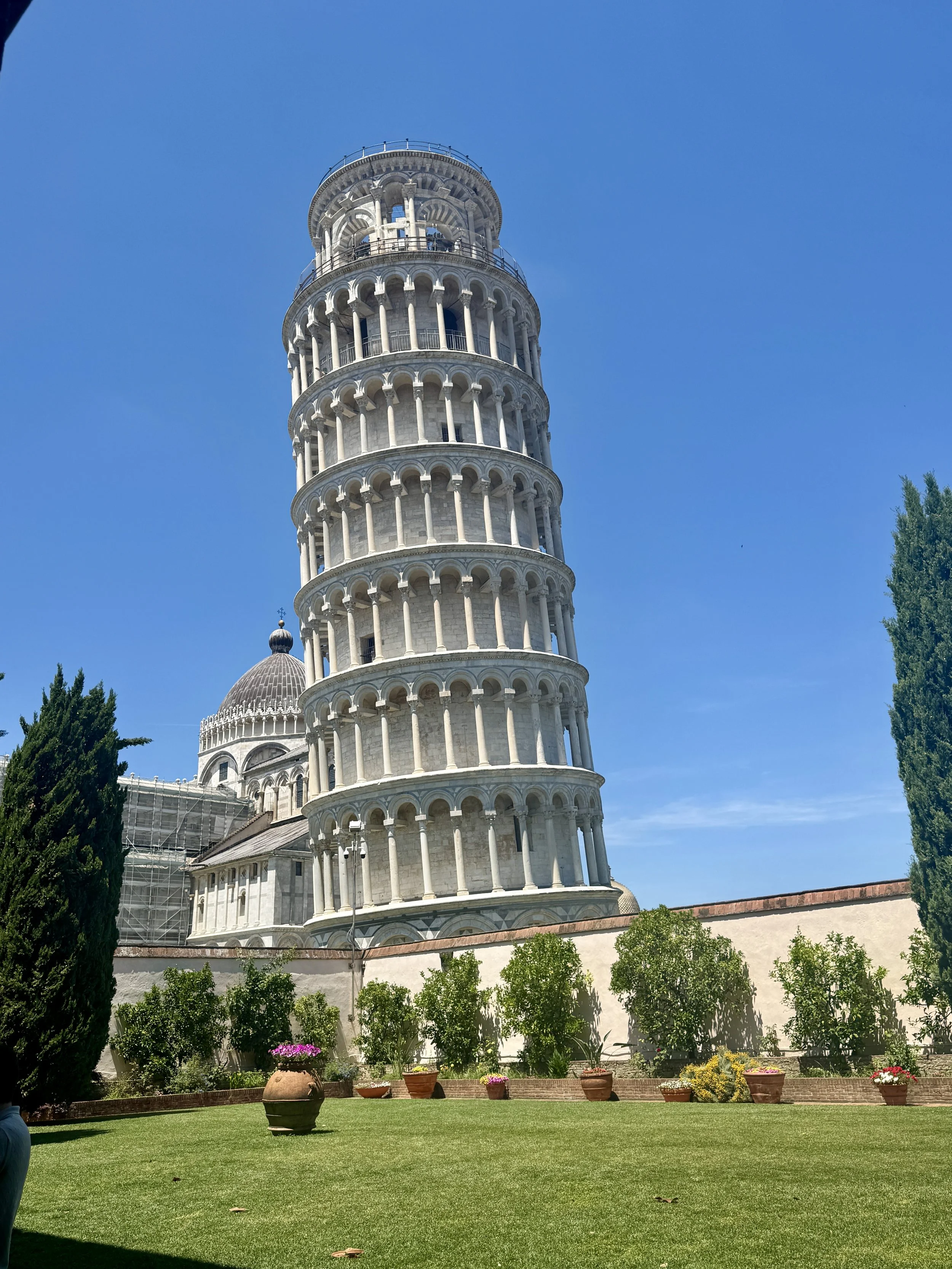 Leaning Tower of Pisa viewed from a peaceful garden beside the cathedral complex.