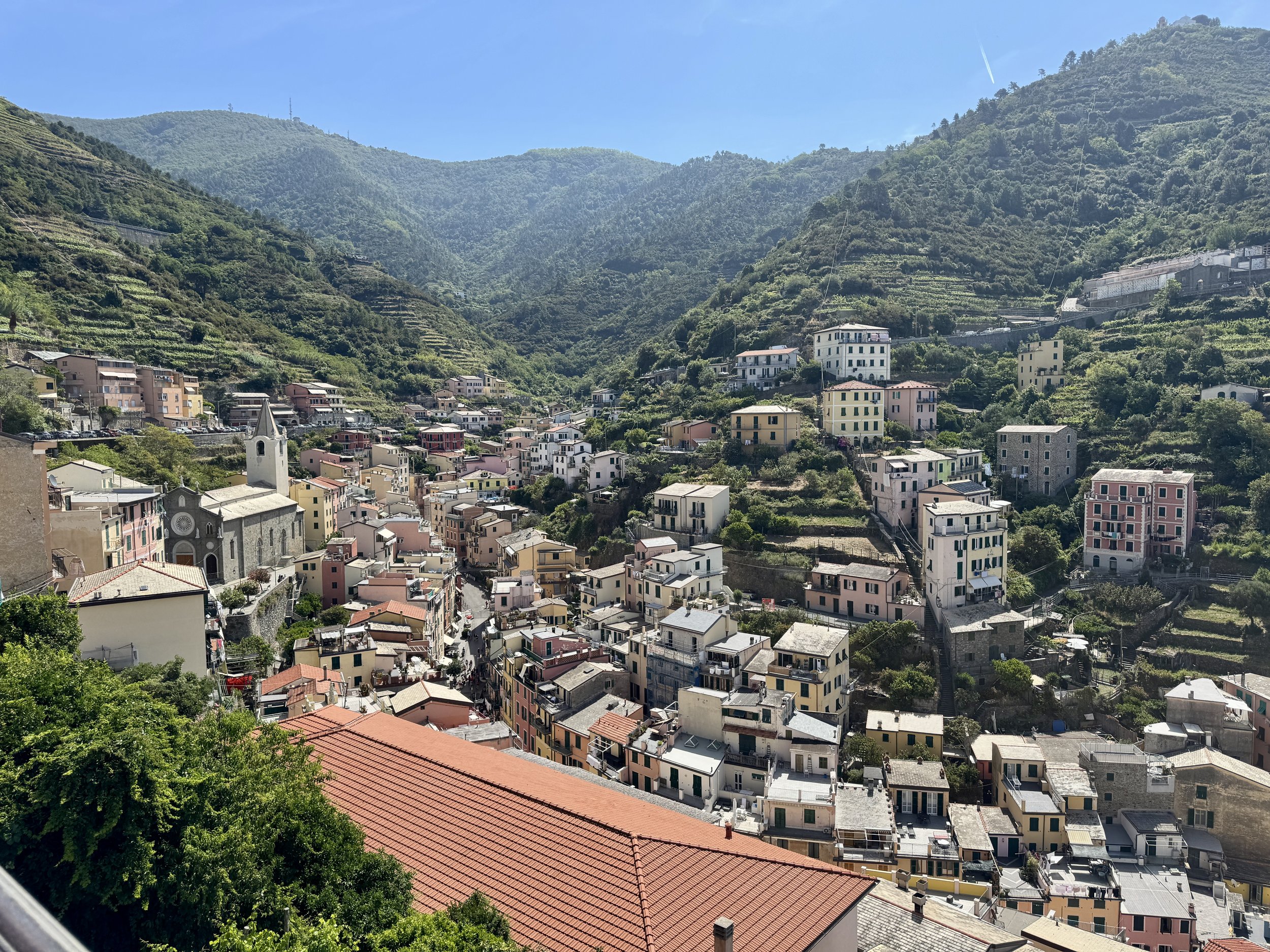 Rooftops and terraced hills of Riomaggiore