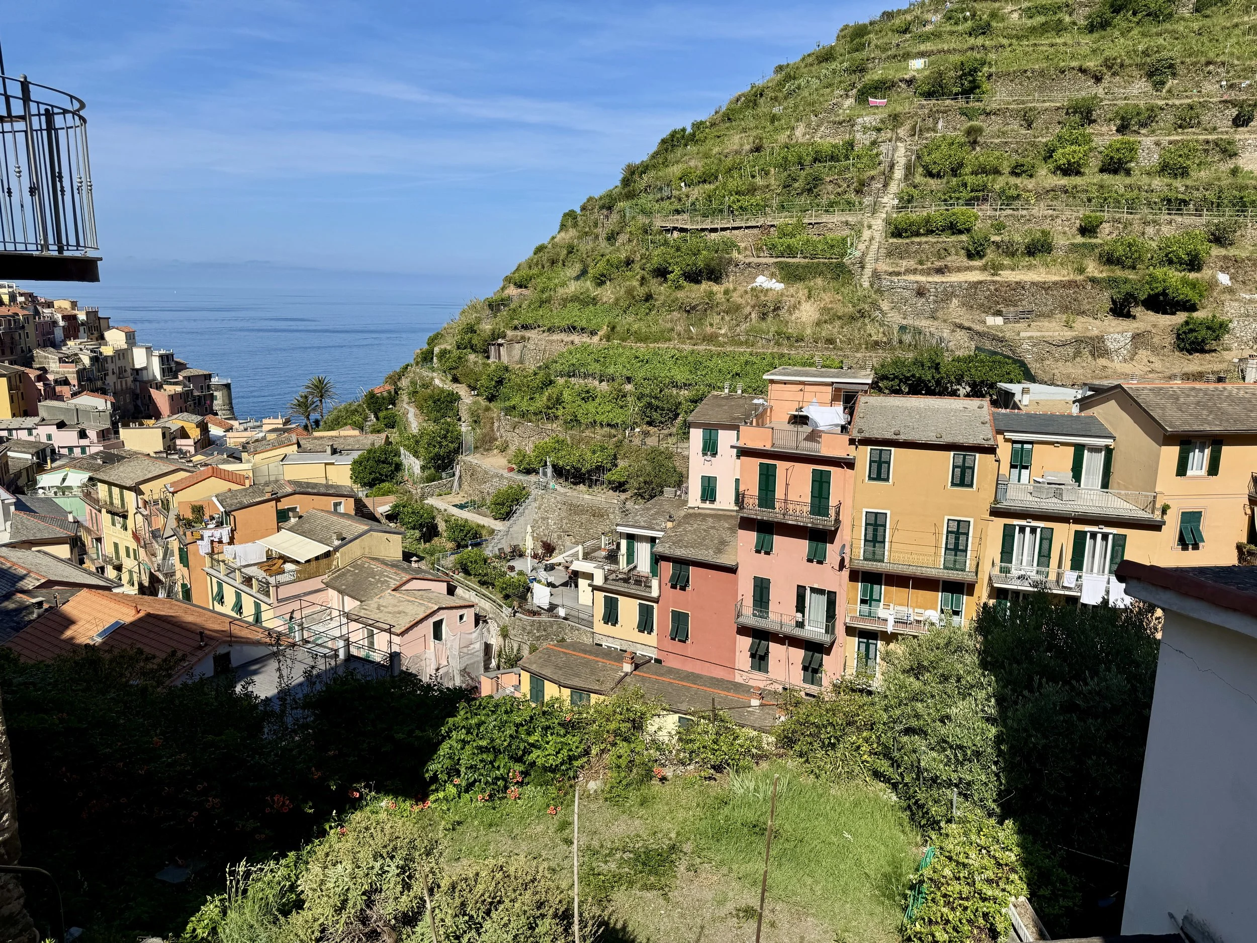 Terraced hillside and rooftops in Manarola
