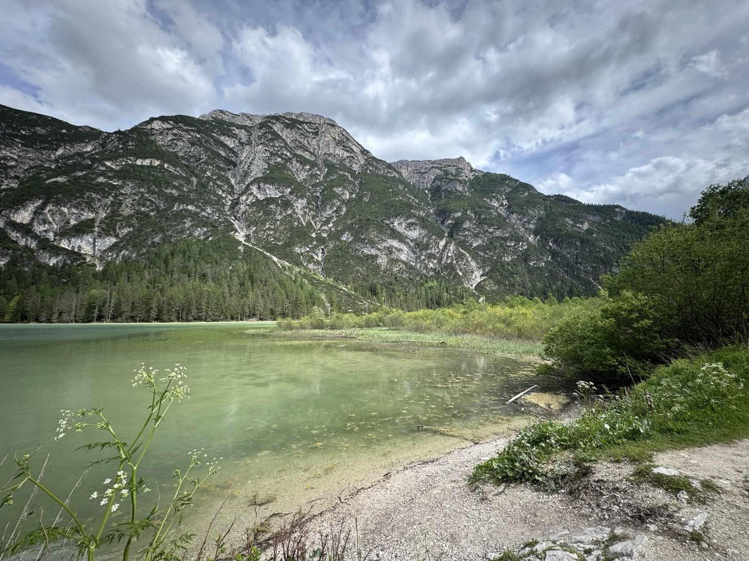 Shallow green shoreline of Lago di Landro surrounded by trees and rugged mountains.
