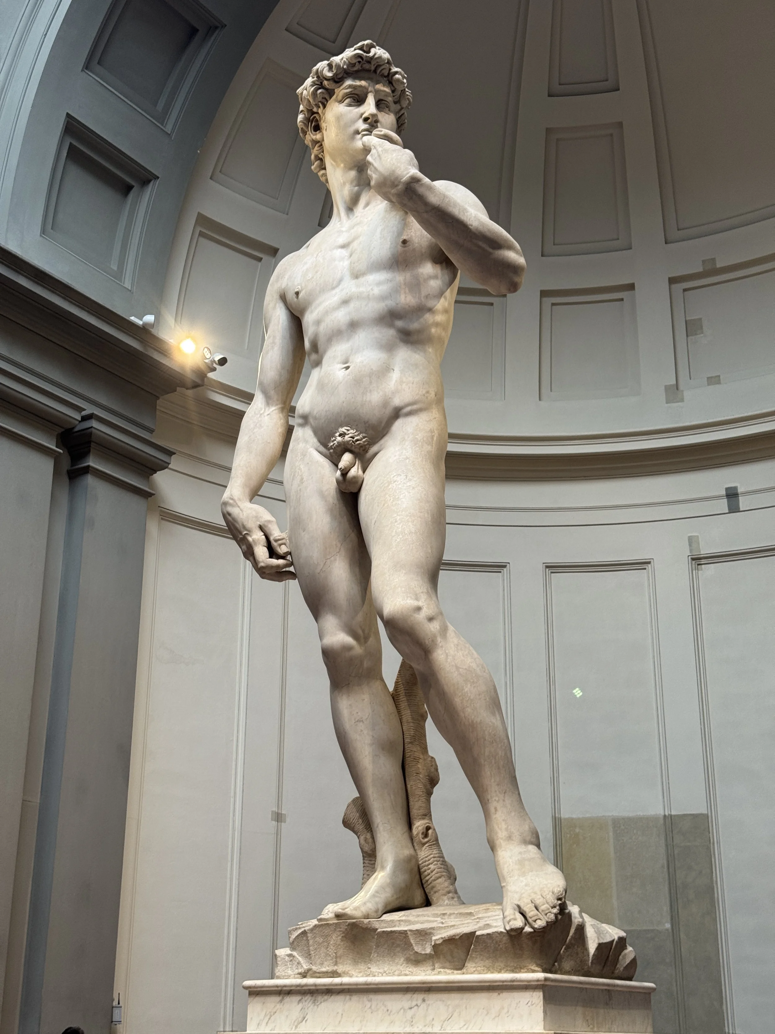 Michelangelo’s David inside the Galleria dell’Accademia in Florence.