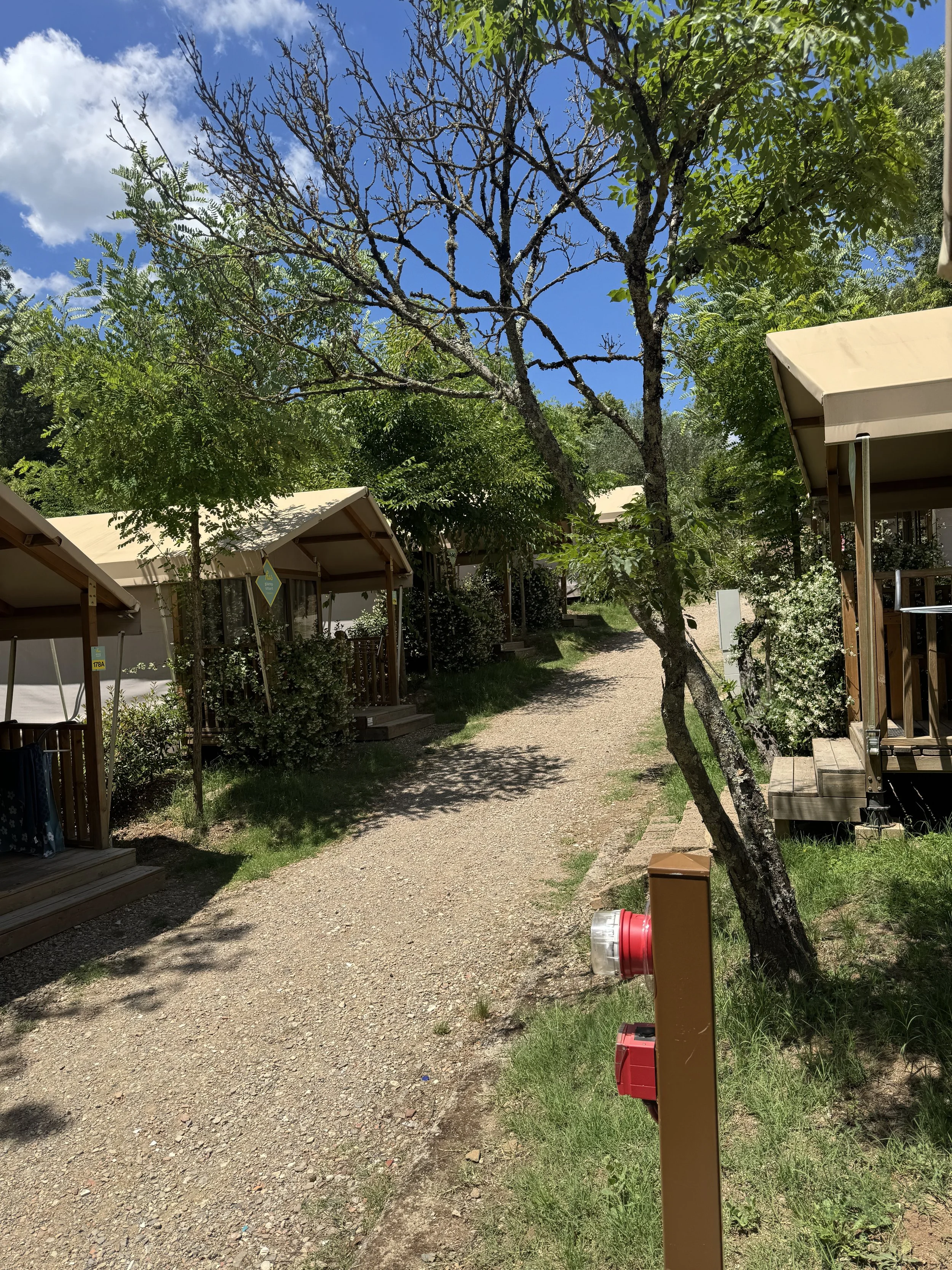 Canvas glamping tents along a shaded path at hu Firenze Certosa Camping in Town.