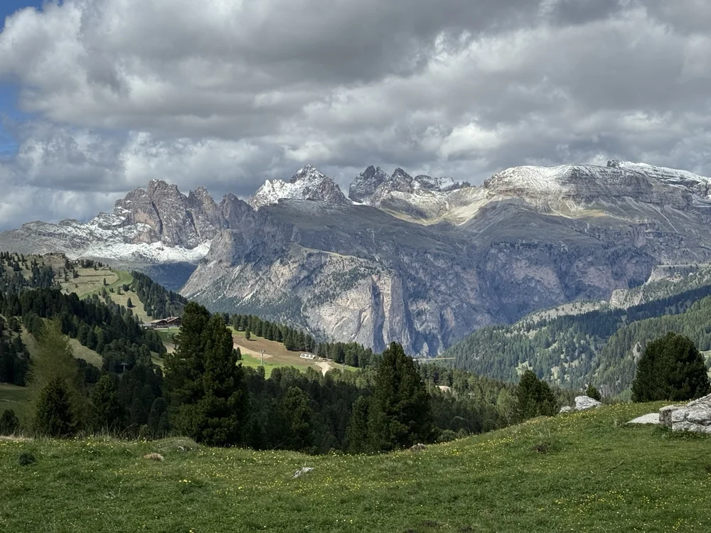 Snow-dusted Dolomite mountain panorama above evergreen slopes and an Alpine meadow beneath dramatic clouds.