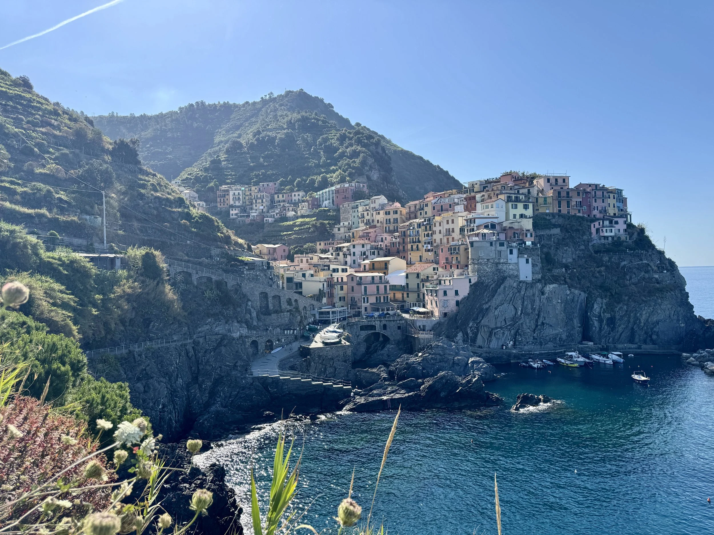 Manarola village and coastline from the viewpoint