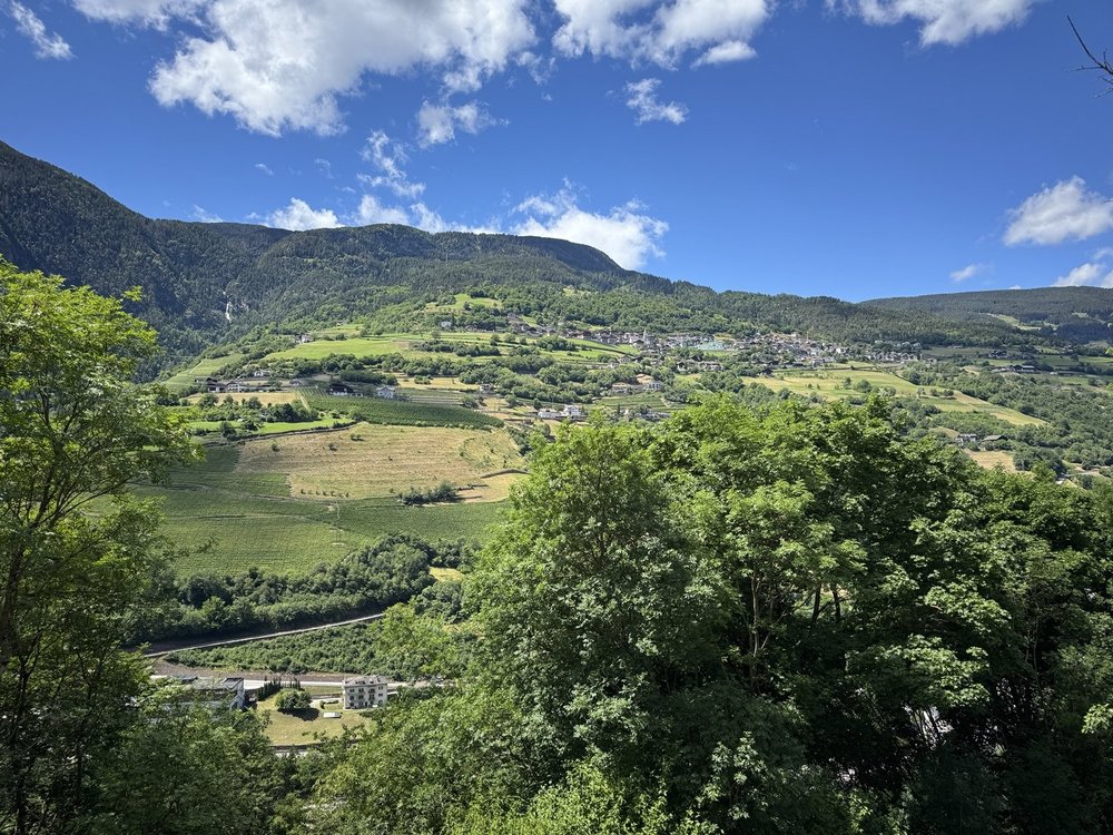 Panoramic view of a hillside village, vineyards and green fields in South Tyrol.