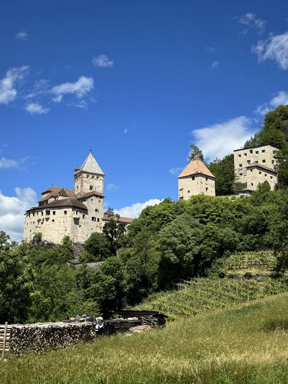 Trostburg Castle rising above a forested hillside in South Tyrol.