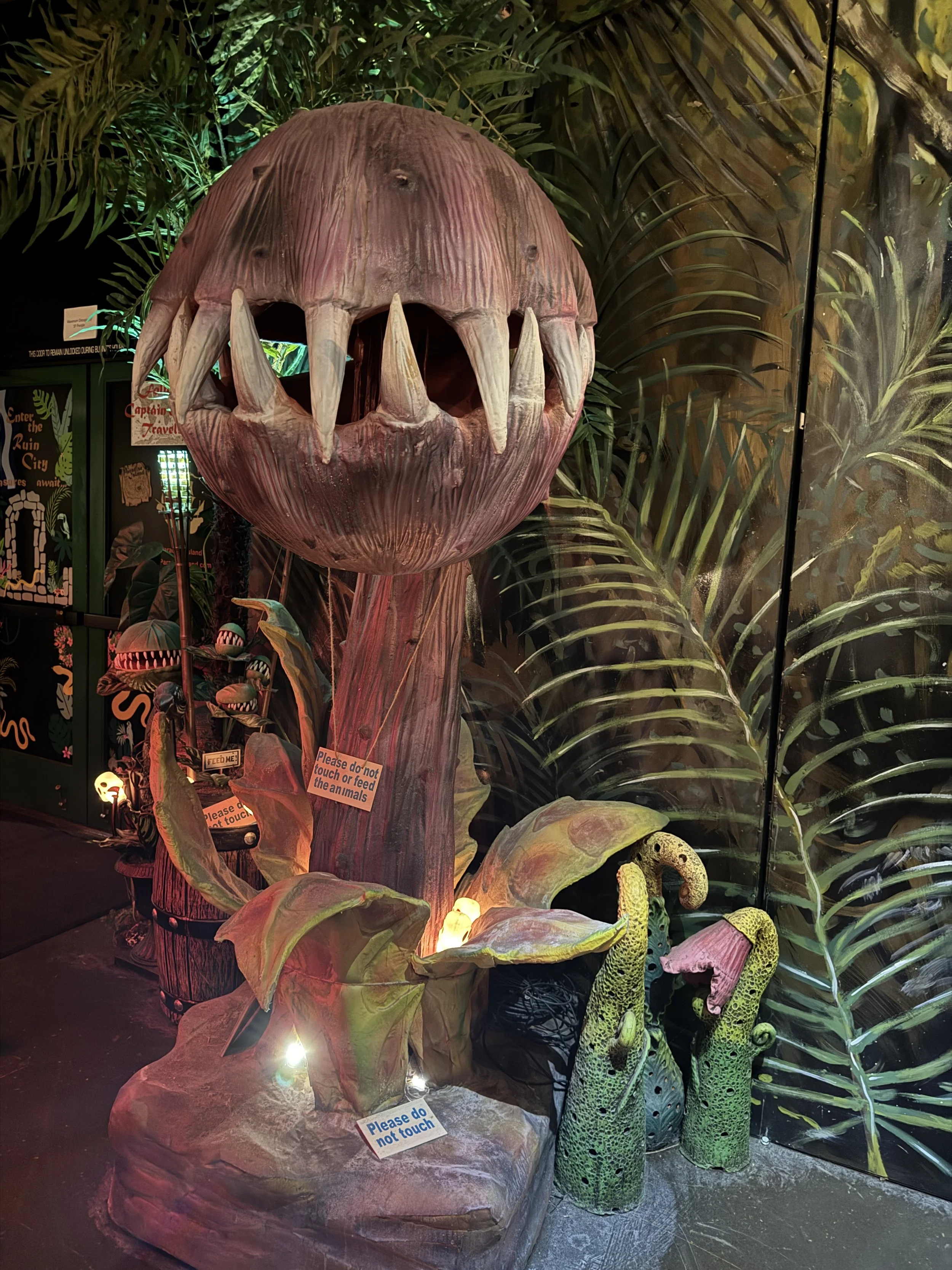 Giant toothy flower and Venus flytrap decorations inside Shipwrecked Paradise Island tiki bar in Sacramento.