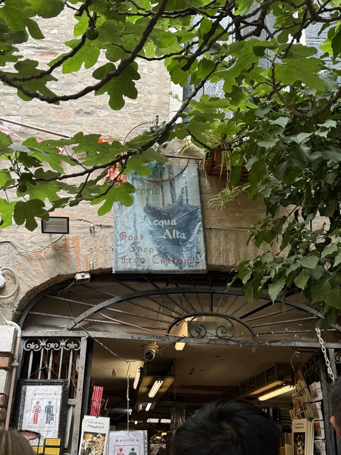 Leafy entrance to Libreria Acqua Alta bookshop in Venice.