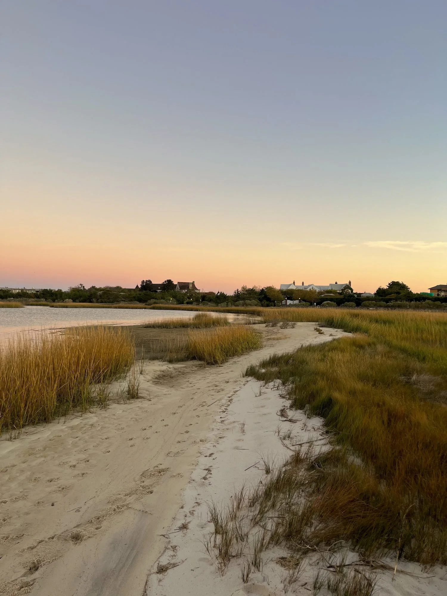 Beach path at golden hour