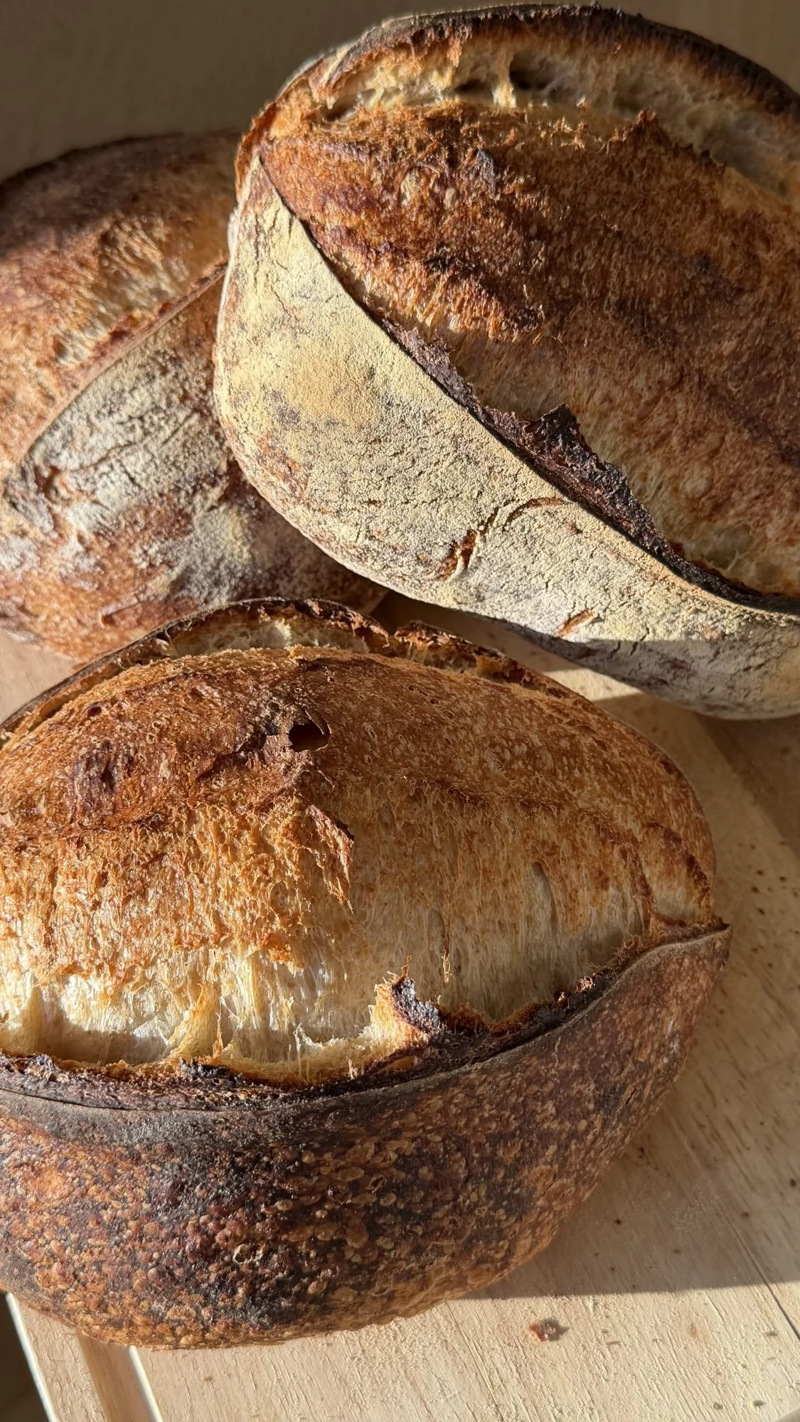 Fresh sourdough loaves