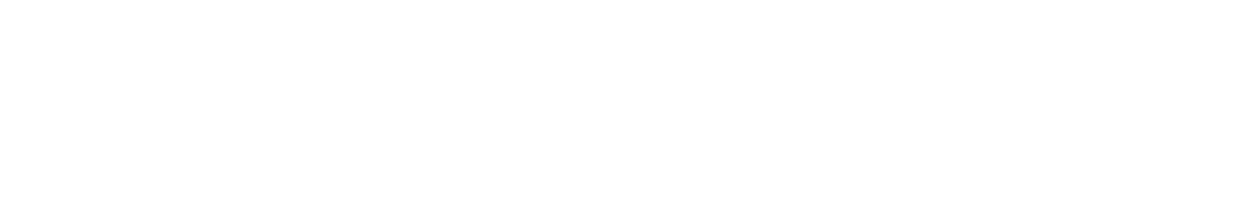 BlurryVSN Photography – Nature & Atmospheric Fine Art Portfolio Logo