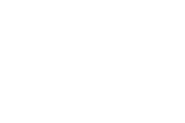 The Family Dog