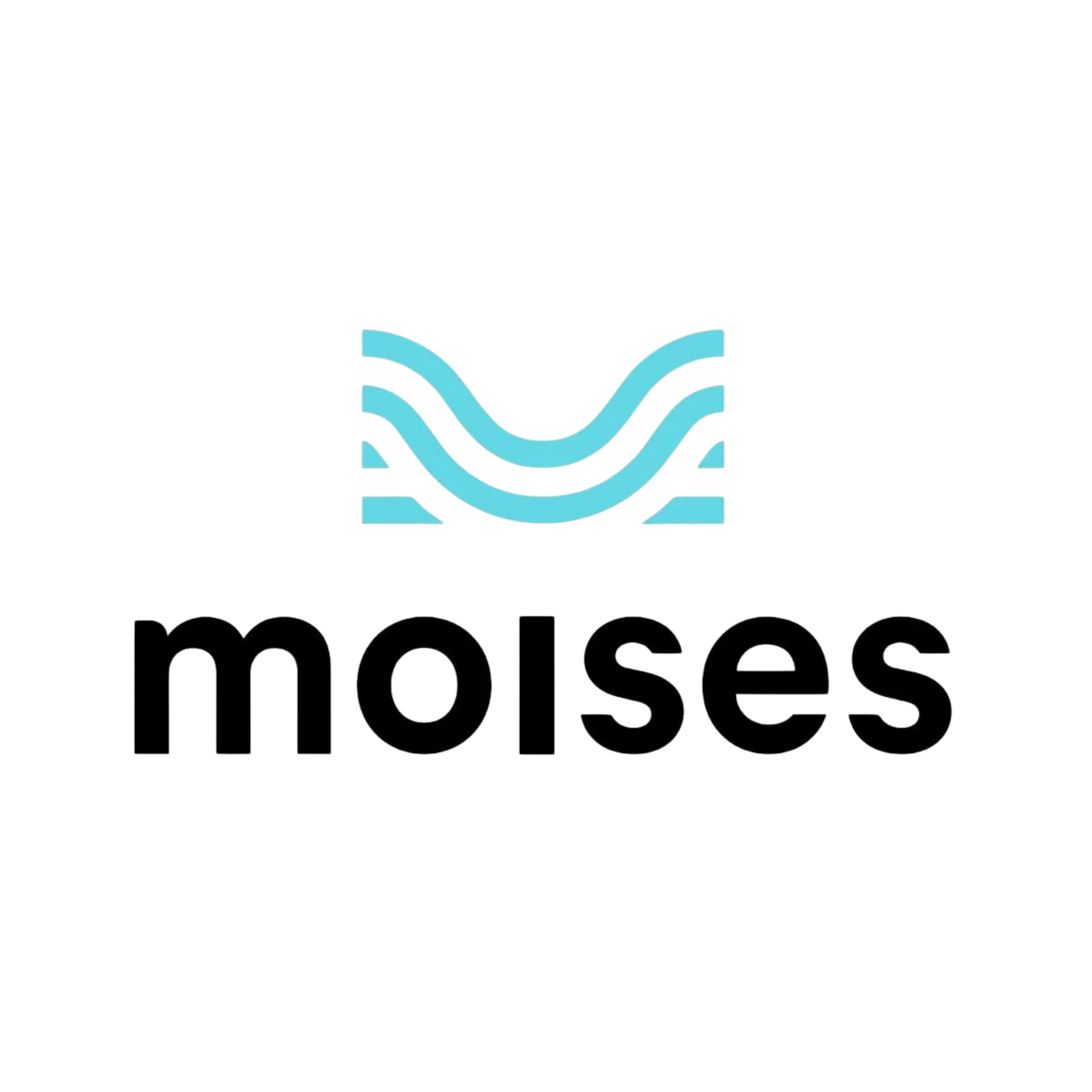 Moises AI
