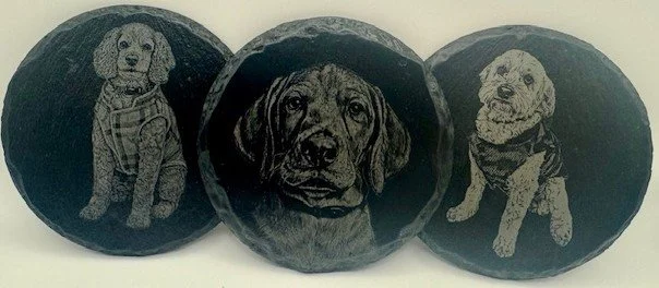 Three dog portraits on slate