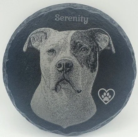 Serenity - Custom dog portrait on slate