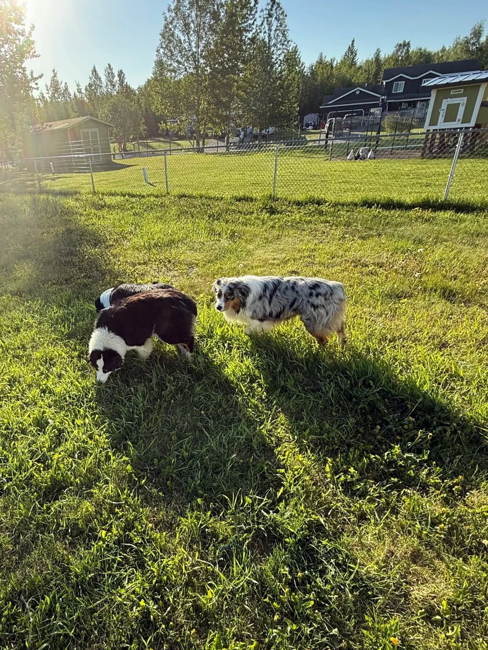 Black dam — profile