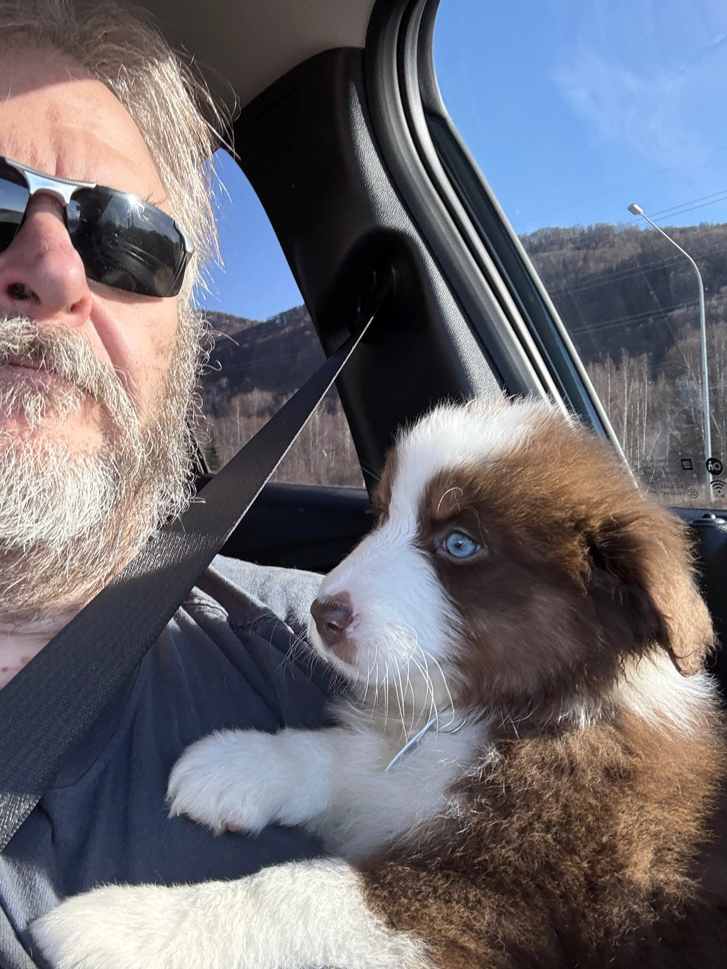 Kalampi Luak 'Tullina' — Red future dam