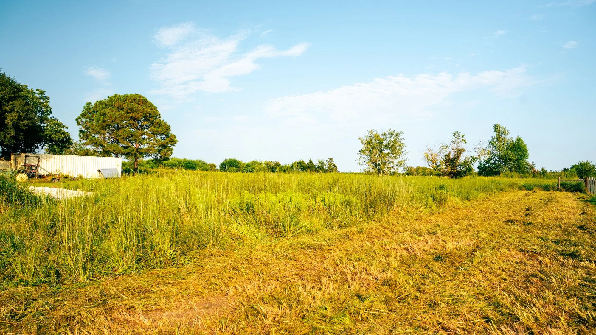 Freshly cut pass beside standing grass and brush on a Farmer Brown land-clearing job