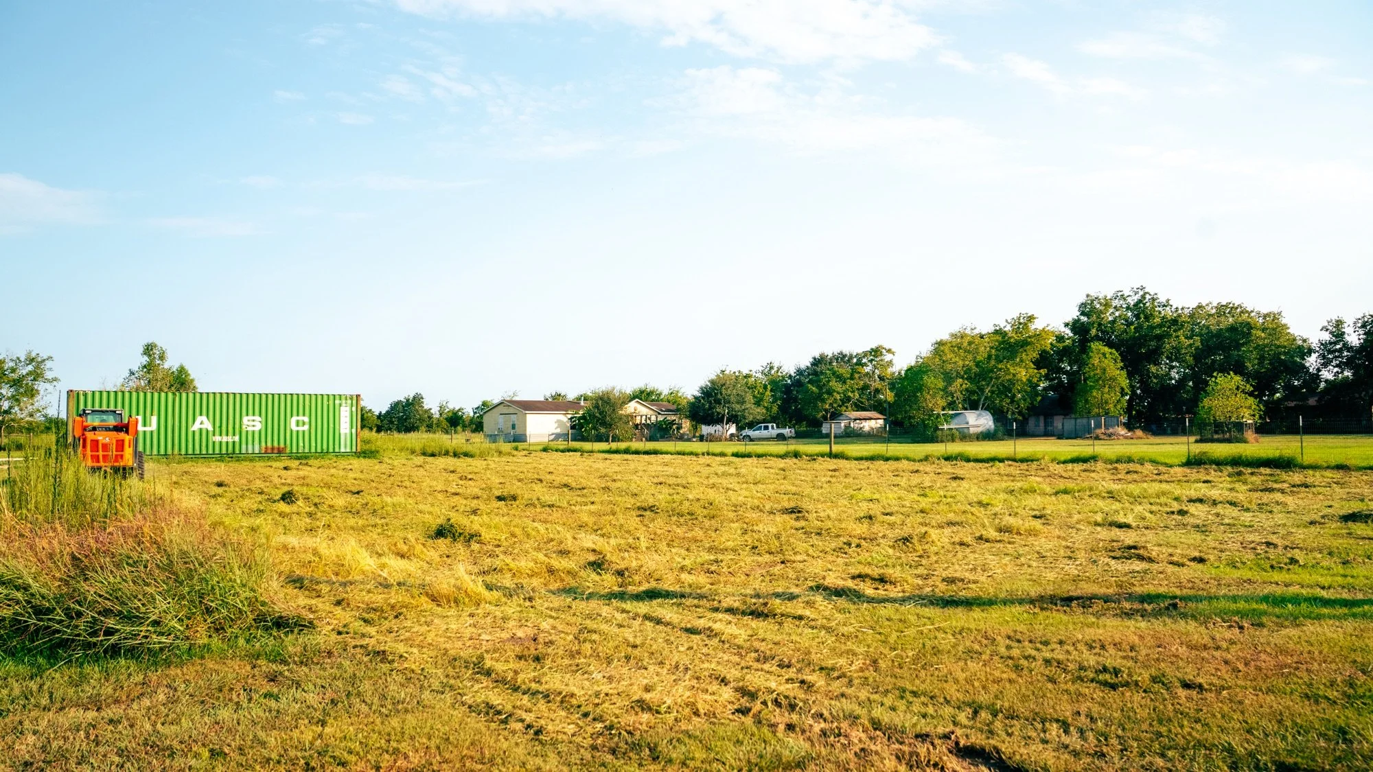 Open acreage with cut vegetation after skid-steer brush cutting by Farmer Brown