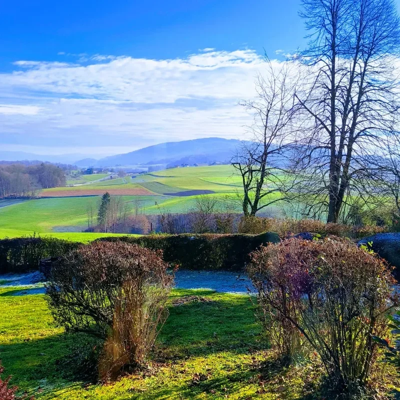 Colline verdi sotto il cielo azzurro