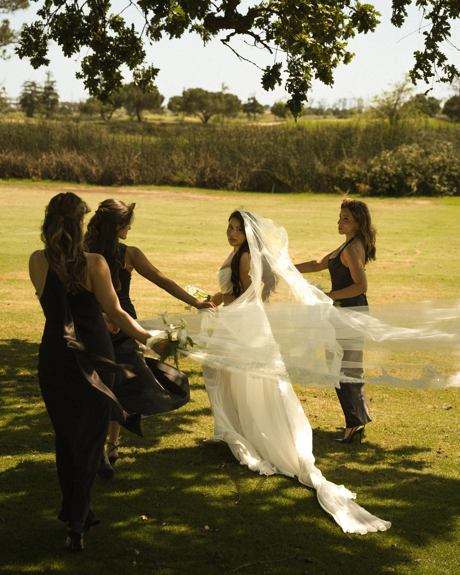 Bridal party holding a flowing veil