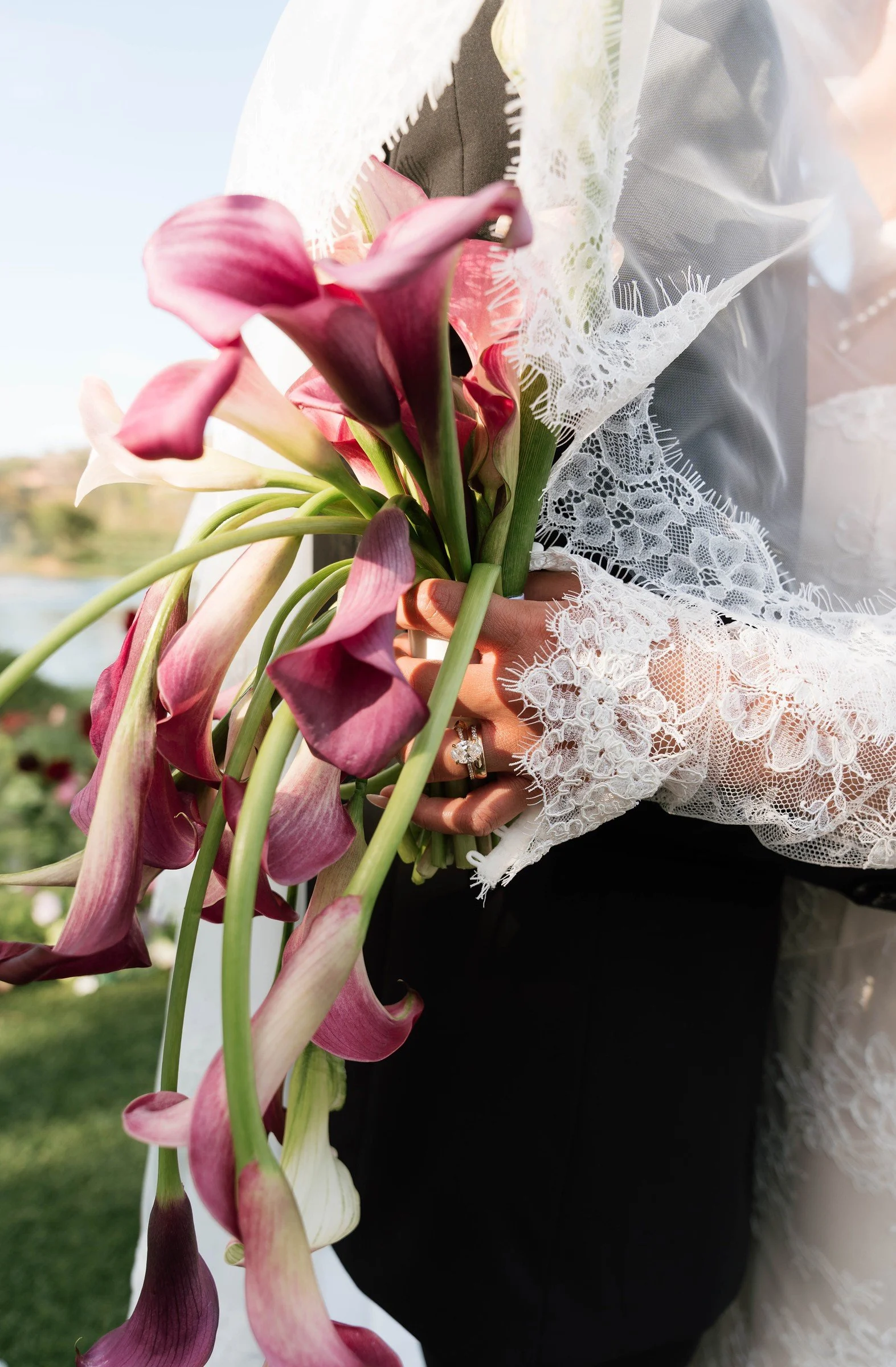 Burgundy and white calla lilies against lace