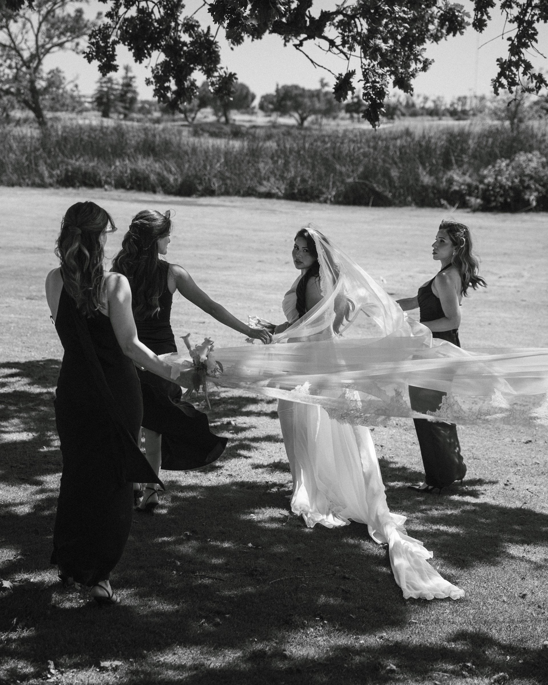Black-and-white bridal party portrait outdoors